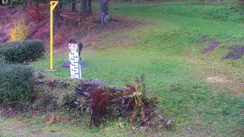 Snímek    3.11.2025 v 10:30