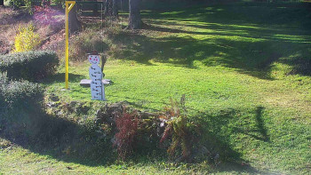 Snímek    4.11.2025 v 10:30