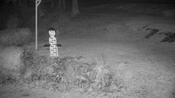 Snímek 6.11.2025 v 20:00