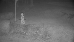 Běžecký lyžařský areál Nová Ves - horní část