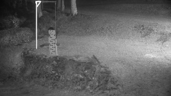 Snímek    14.11.2025 v 23:30