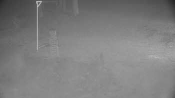 Snímek 17.11.2025 v 06:00