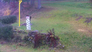 Snímek 17.11.2025 v 08:30