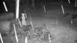 Běžecký lyžařský areál Nová Ves - horní část