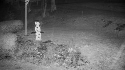 Běžecký lyžařský areál Nová Ves - horní část