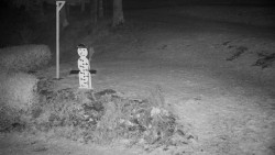 Běžecký lyžařský areál Nová Ves - horní část