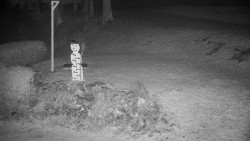 Běžecký lyžařský areál Nová Ves - horní část