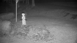 Běžecký lyžařský areál Nová Ves - horní část