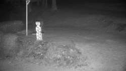 Běžecký lyžařský areál Nová Ves - horní část