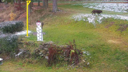 Běžecký lyžařský areál Nová Ves - horní část