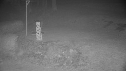 Běžecký lyžařský areál Nová Ves - horní část