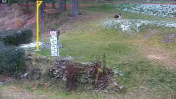 Běžecký lyžařský areál Nová Ves - horní část