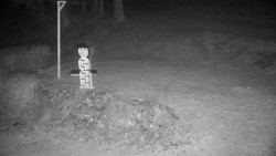 Běžecký lyžařský areál Nová Ves - horní část