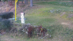 Běžecký lyžařský areál Nová Ves - horní část