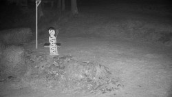 Běžecký lyžařský areál Nová Ves - horní část