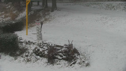 Běžecký lyžařský areál Nová Ves - horní část