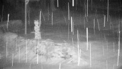 Běžecký lyžařský areál Nová Ves - horní část