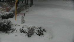 Běžecký lyžařský areál Nová Ves - horní část