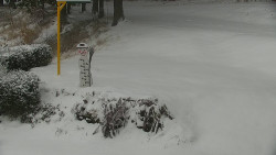 Běžecký lyžařský areál Nová Ves - horní část