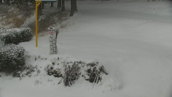 Běžecký lyžařský areál Nová Ves - horní část