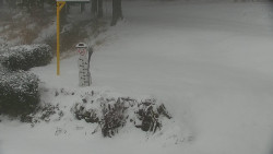 Běžecký lyžařský areál Nová Ves - horní část