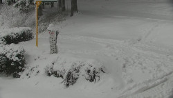 Běžecký lyžařský areál Nová Ves - horní část