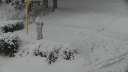 Běžecký lyžařský areál Nová Ves - horní část