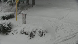 Běžecký lyžařský areál Nová Ves - horní část