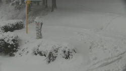 Běžecký lyžařský areál Nová Ves - horní část