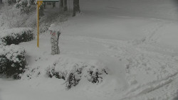 Běžecký lyžařský areál Nová Ves - horní část