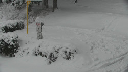 Běžecký lyžařský areál Nová Ves - horní část