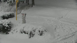 Běžecký lyžařský areál Nová Ves - horní část