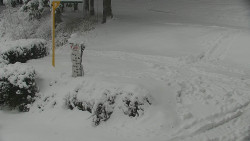 Běžecký lyžařský areál Nová Ves - horní část