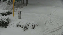 Běžecký lyžařský areál Nová Ves - horní část