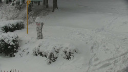 Běžecký lyžařský areál Nová Ves - horní část