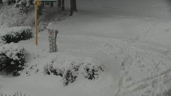 Chata Myslivna SKP Olomouc