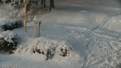 Běžecký lyžařský areál Nová Ves - horní část