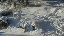 Běžecký lyžařský areál Nová Ves - horní část