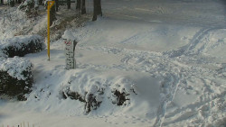 Běžecký lyžařský areál Nová Ves - horní část