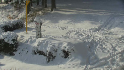 Běžecký lyžařský areál Nová Ves - horní část