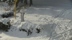 Běžecký lyžařský areál Nová Ves - horní část