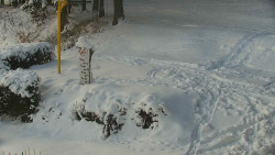 Běžecký lyžařský areál Nová Ves - horní část