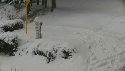 Běžecký lyžařský areál Nová Ves - horní část