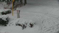 Běžecký lyžařský areál Nová Ves - horní část