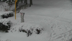 Běžecký lyžařský areál Nová Ves - horní část