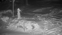 Běžecký lyžařský areál Nová Ves - horní část