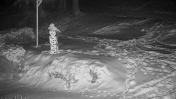 Běžecký lyžařský areál Nová Ves - horní část