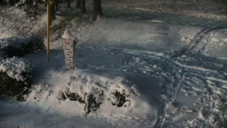 Běžecký lyžařský areál Nová Ves - horní část