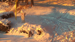 Běžecký lyžařský areál Nová Ves - horní část