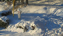 Běžecký lyžařský areál Nová Ves - horní část